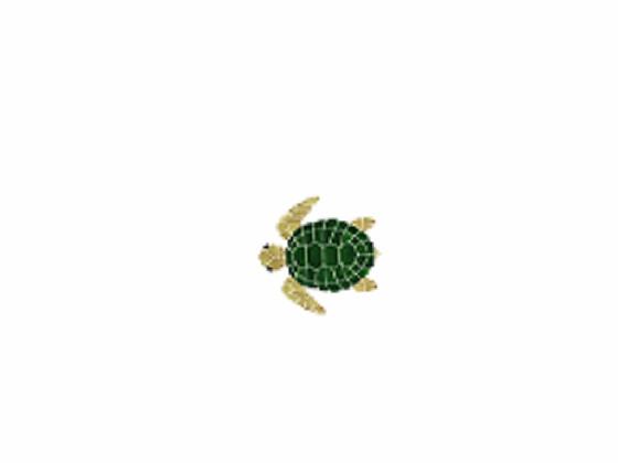 a cool turtle (Tap and hold)