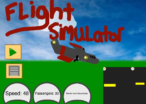 plane simulator 1