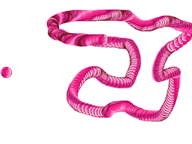 WIGGLY WORM ART