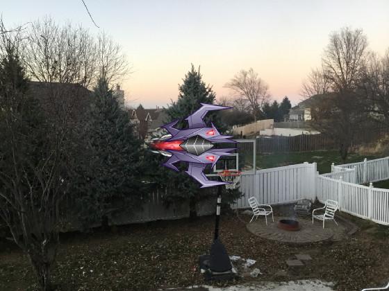 I caught an alien in my backyard 