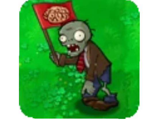 FLAG ZOMBIE