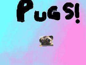 PUGS SOO CUTE  1