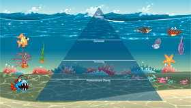 Ocean Energy Pyramid