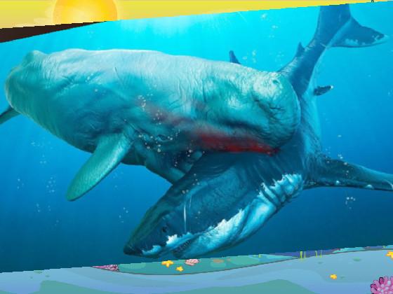 whale attacking A megalodon!!!