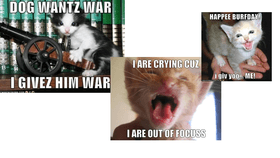 lolcats