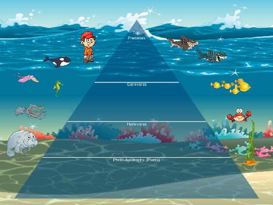 Ecological Pyramid Ocean