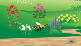 Bee Game