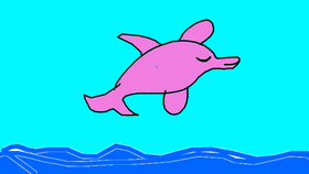 Pink Dolphin