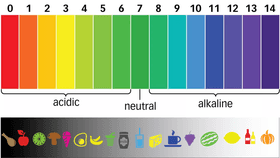 pH Levels - web