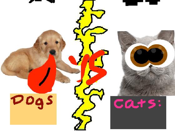 Dogs vs Cats!!🐈🐕 1