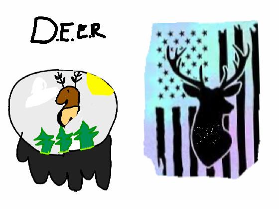 Deer 