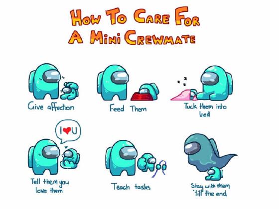 how to care by the pro