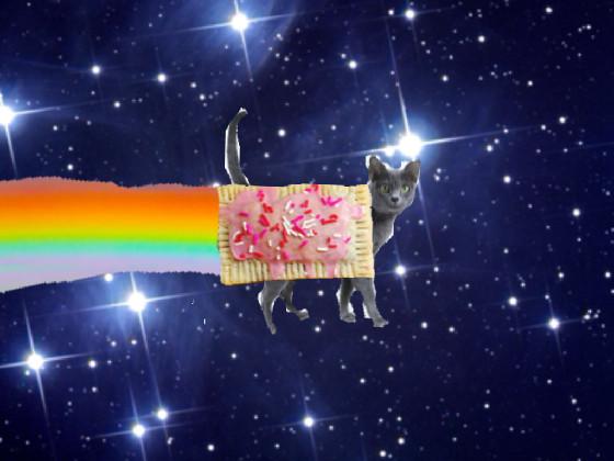 Real nyan cat 1