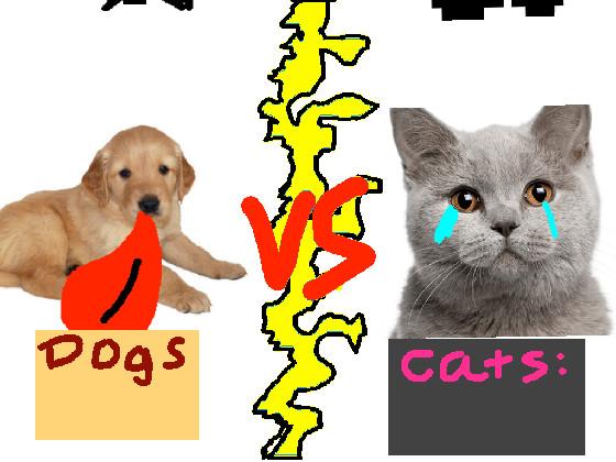 Dogs vs Cats!!🐈🐕 1