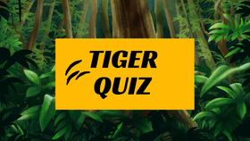 Tiger Quiz with my OCS