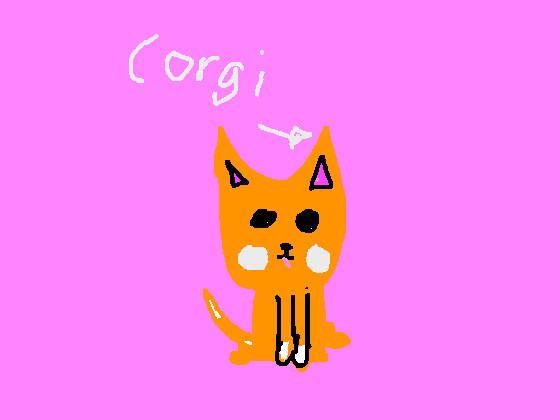 corgi