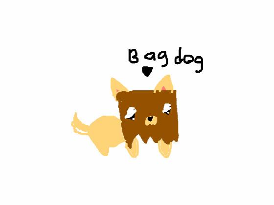 Bag dog knows u