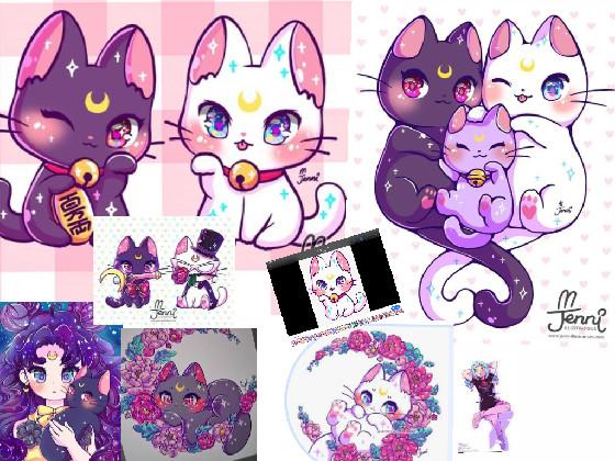 Kawaii cats! 🥰 part 1. 1