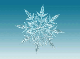 Snowflake drawing!