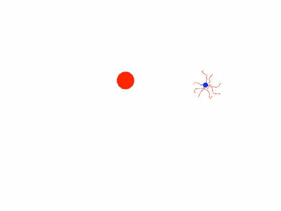 eye bounce animation