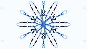 Snowflake Maker