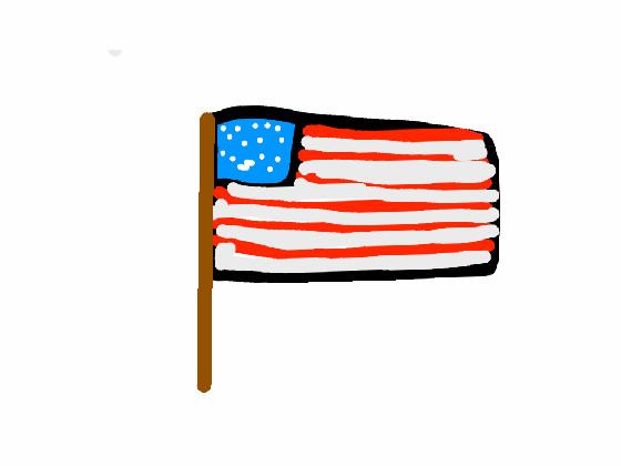 Americas flag