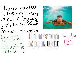 SAVE THE TURTLES