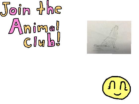 My Animal Club! 1