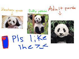 learn about pandas