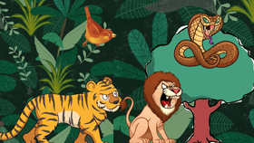 jungle fight