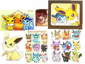 eevees 1 1