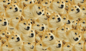 DOGE THE MOVIE