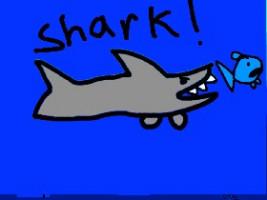 Shark! 1 1