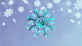 Snowflake Maker