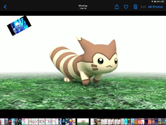 Furret Walk rises!