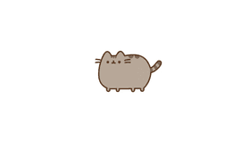 #AnythingIsPossible. Espesially with Pusheen.