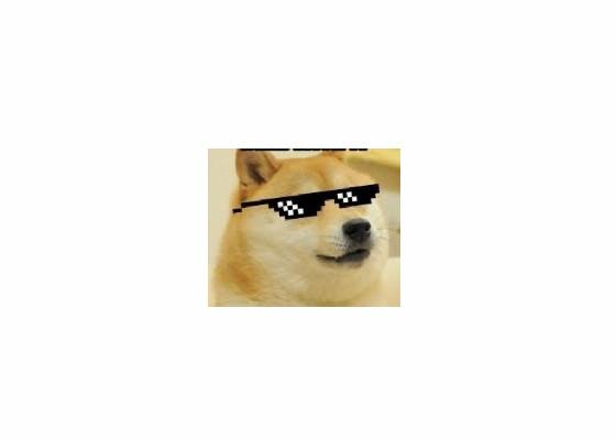 Doge deal with it 