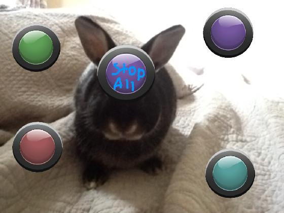 Olive the rabbit: music!©™ 1