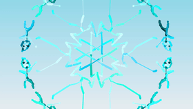 Snowflake Maker