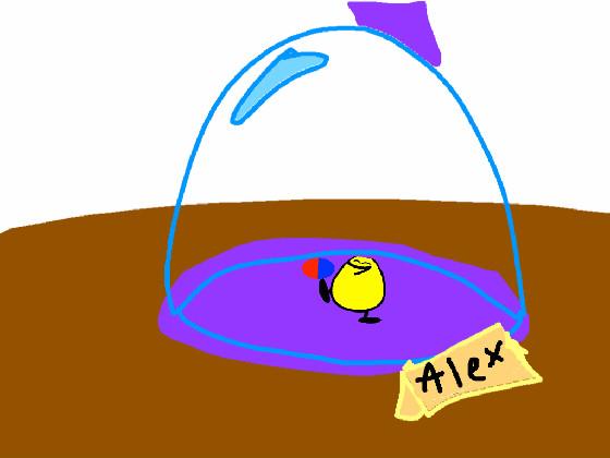 Alex, The Sick Duck..