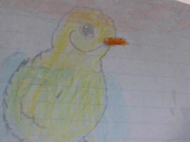 so i drew a chick