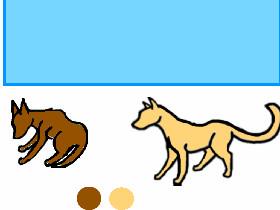 How to draw Cat and dog.