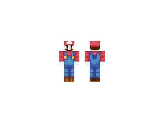 Mario Skin