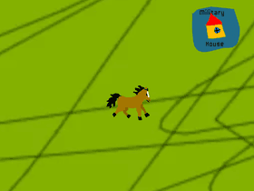 Wild Horse Simulator