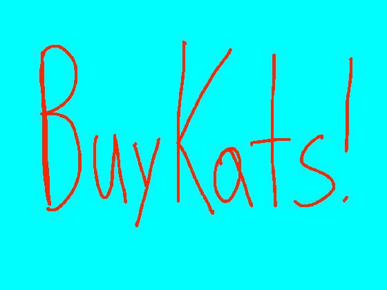 BuyKats: A Store Simulator