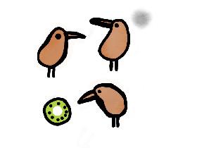 birds