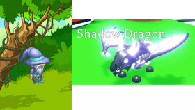 shadow dragon