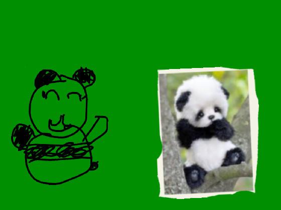 Save pandas!  1