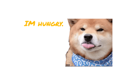 HUngry doggo