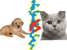 Dogs vs Cats 1